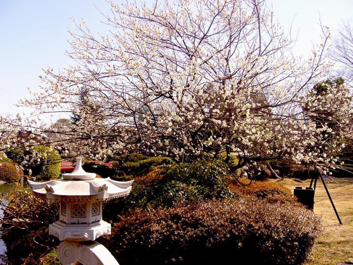 Hotel Garden Palace Kumagaya Ngoại thất bức ảnh